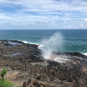 Meet your Posher, Ella